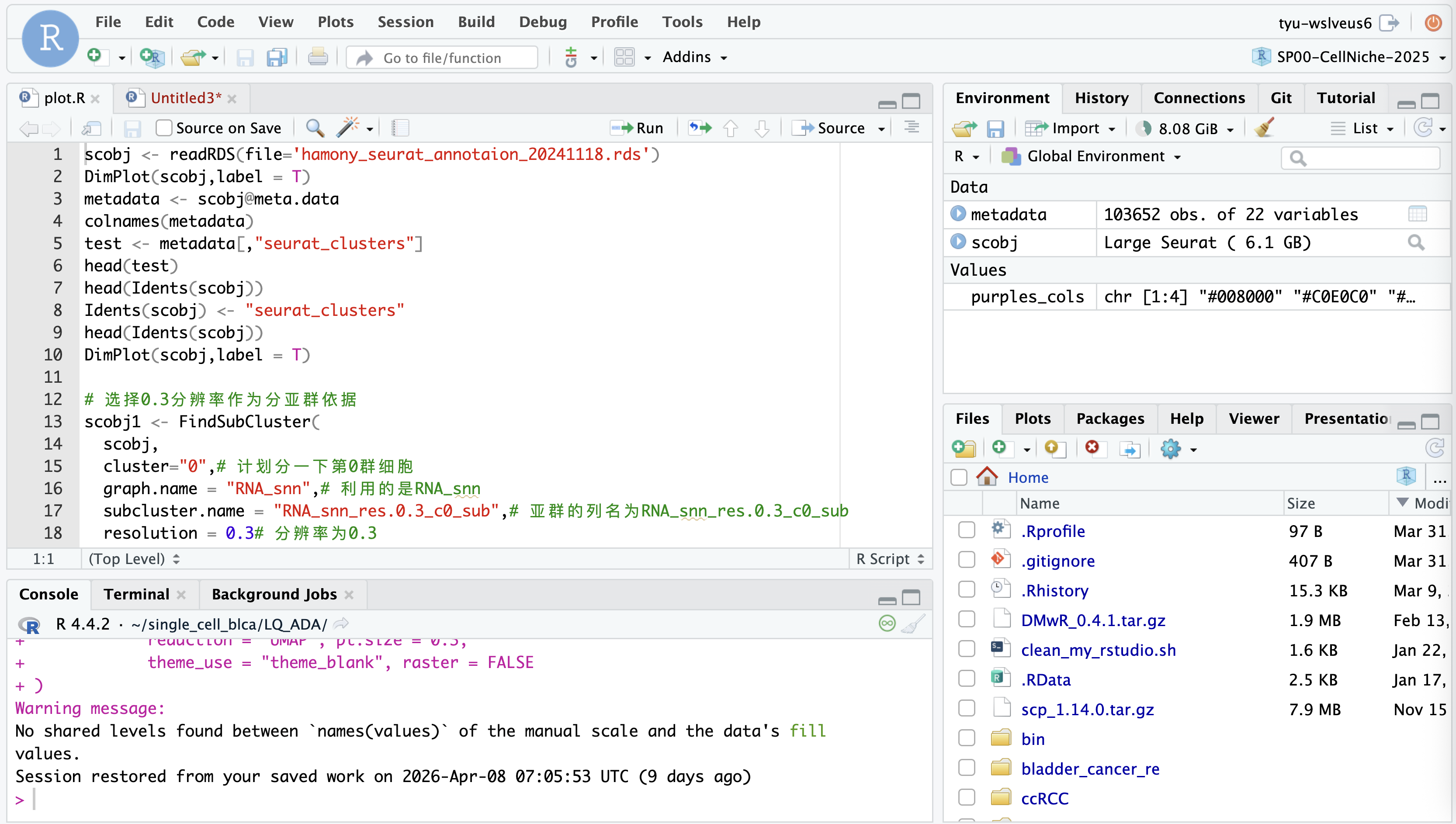 R 工作环境截图